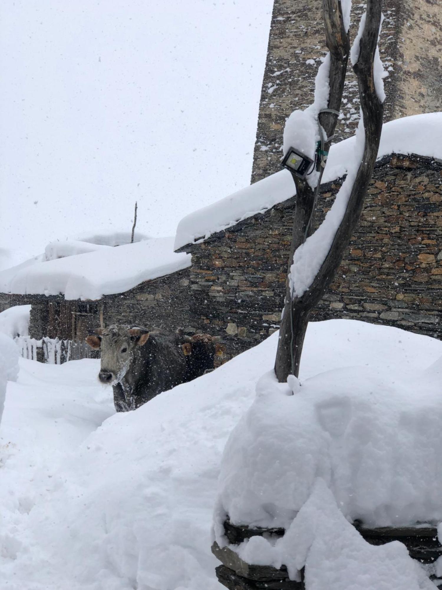 Hotel Old House Ushguli Exterior foto